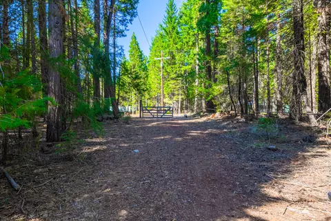 34604 Ca-44, Shingletown, CA 96088 photo 28