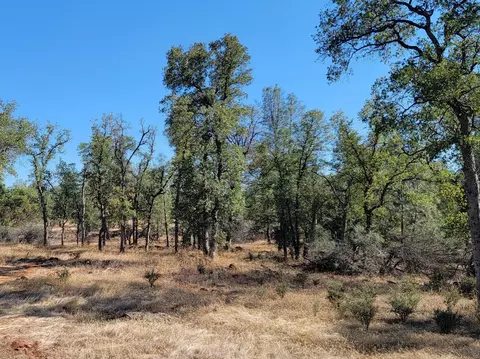 Ca-44, Millville, CA 96062 photo 5
