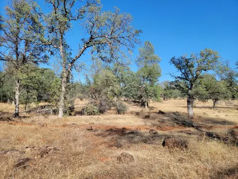 Ca-44, Millville, CA 96062 photo 6