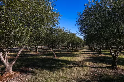 13045 Abby Ln, Red Bluff, CA 96080 photo 43