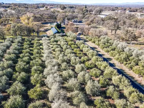 13045 Abby Ln, Red Bluff, CA 96080 photo 67