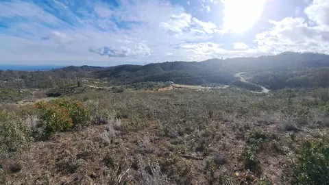 15320 Iola Dr, Shasta, CA 96088