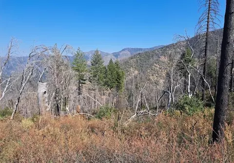 11599 Drunken Gulch Rd, French Gulch, CA 96033