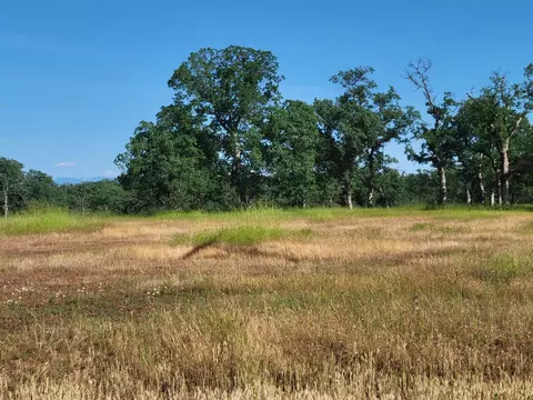 Bass Pond Road, Millville, CA 96062