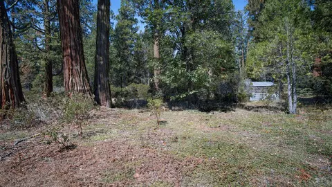 Ritts Mill, Shingletown, CA 96088 photo 10