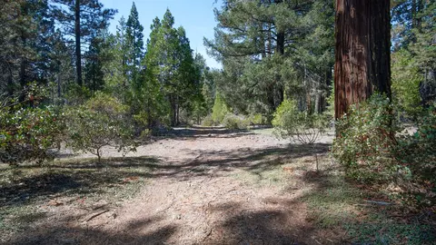 Ritts Mill, Shingletown, CA 96088 photo 8