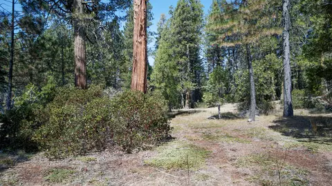 Ritts Mill, Shingletown, CA 96088 photo 3