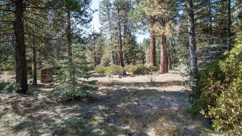 Ritts Mill, Shingletown, CA 96088 photo 15