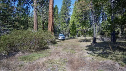 Ritts Mill, Shingletown, CA 96088 photo 16