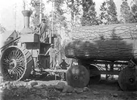 Ritts Mill, Shingletown, CA 96088 photo 6