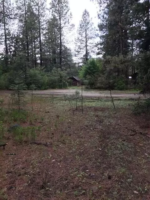 Oak Ln, Shingletown, CA 96088 photo 6