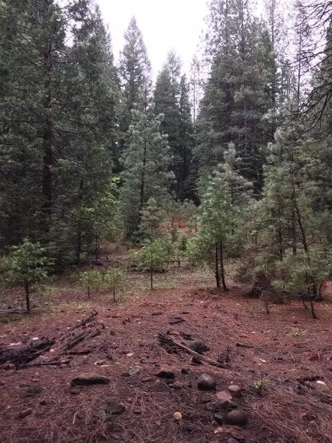 Oak Ln, Shingletown, CA 96088