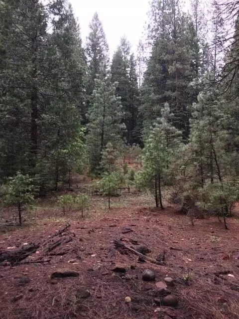 Oak Ln, Shingletown, CA 96088 photo 5