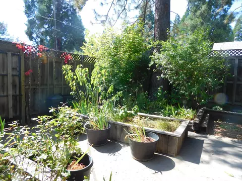 20327 Cedar St, Burney, CA 96013 photo 20