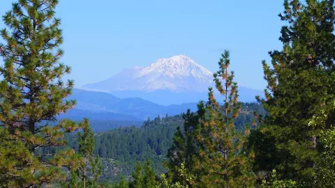 10 Acres Sawhorse Ln, Montgomery Creek, CA 96065