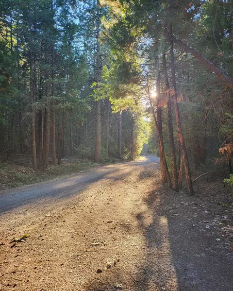 30528 Rl Smith Logging Rd, Oak Run, CA 96069 photo 2