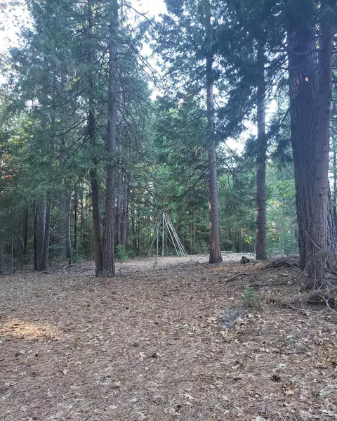 30528 Rl Smith Logging Rd, Oak Run, CA 96069 photo 19