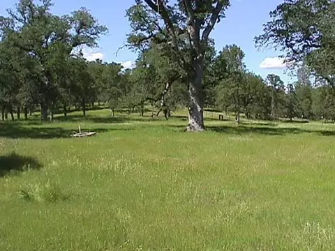 Two Feathers, Cottonwood, CA 96022