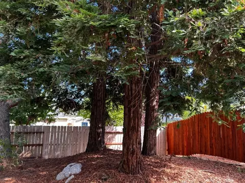 2155 Adirondack Dr, Redding, CA 96001 photo 24