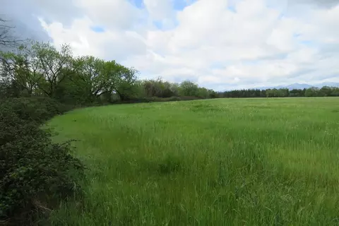 7740 Churn Creek Rd, Redding, CA 96002 photo 3