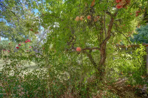 2230 Concord Ln, Redding, CA 96001 photo 40