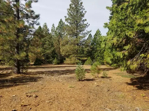 lot57 Nehemiah Dr, Shingletown, CA 96088