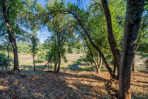 3677 Alma Ave, Redding, CA 96002 photo 30