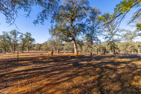 Exterior - 19402 Covey Rd, Redding, CA 96003 photo 11 of 15