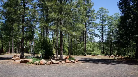 29584 State Highway 44, Shingletown, CA 96088 photo 40