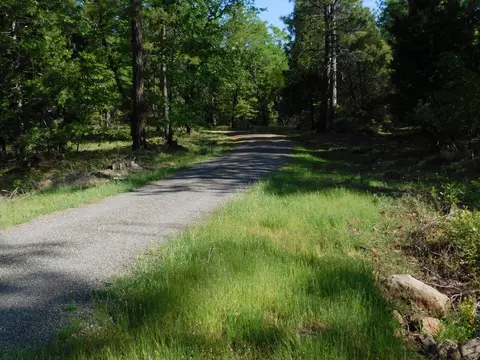 29584 State Highway 44, Shingletown, CA 96088 photo 38