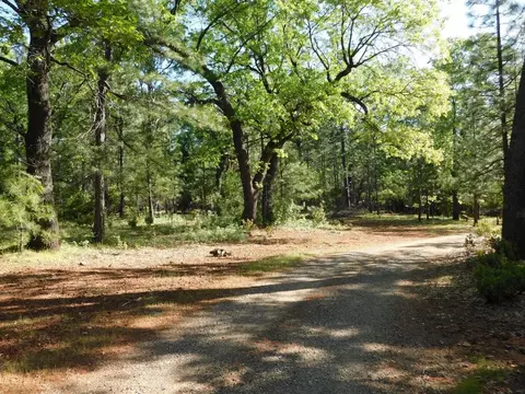 29584 State Highway 44, Shingletown, CA 96088 photo 39