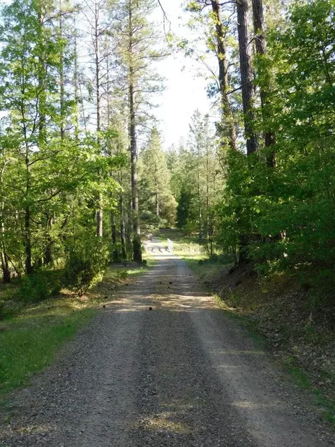 29584 State Highway 44, Shingletown, CA 96088 photo 37
