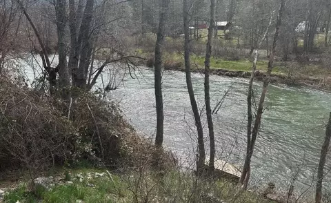 351 Forest Ave, Hayfork, CA 96041 photo 24