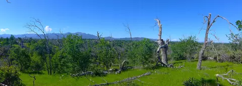 20 Acres Lower Coal Pit Rd, Igo, CA 96047 photo 18