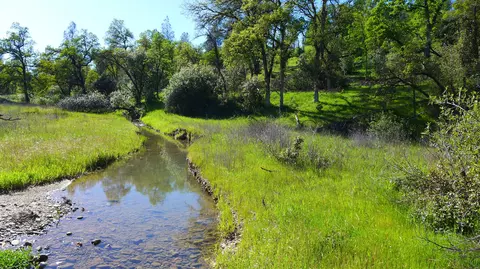 20 Acres Lower Coal Pit Rd, Igo, CA 96047 photo 25