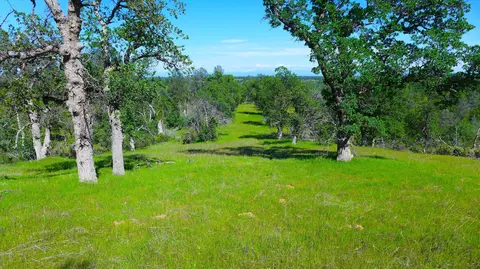 20 Acres Lower Coal Pit Rd, Igo, CA 96047