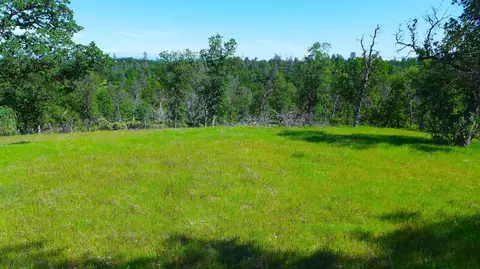 20 Acres Lower Coal Pit Rd, Igo, CA 96047 photo 15