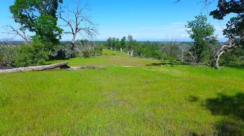 20 Acres Lower Coal Pit Rd, Igo, CA 96047 photo 17