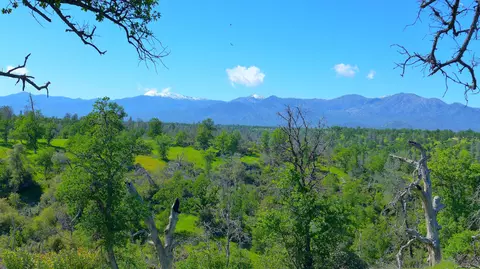 20 Acres Lower Coal Pit Rd, Igo, CA 96047 photo 14