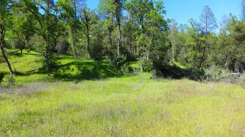 20 Acres Lower Coal Pit Rd, Igo, CA 96047 photo 24
