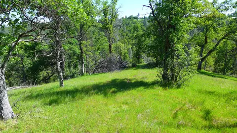 20 Acres Lower Coal Pit Rd, Igo, CA 96047 photo 12