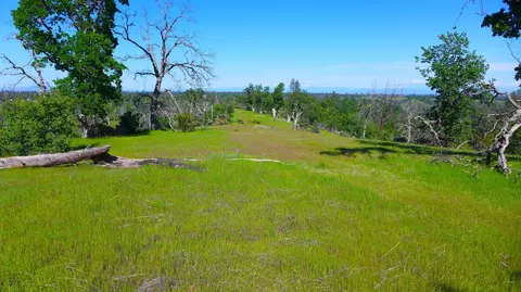 20 Acres Lower Coal Pit Rd, Igo, CA 96047 photo 19