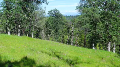 20 Acres Lower Coal Pit Rd, Igo, CA 96047 photo 13