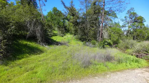 20 Acres Lower Coal Pit Rd, Igo, CA 96047 photo 22