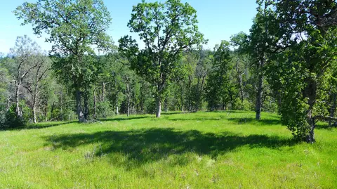 20 Acres Lower Coal Pit Rd, Igo, CA 96047 photo 2
