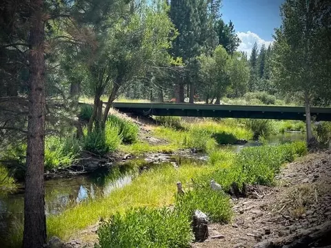 7391 Ca-299, Adin, CA 96006 photo 77