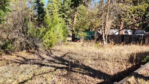 View/Area - 37472 Cypress Ave, Burney, CA 96013 photo 1 of 1