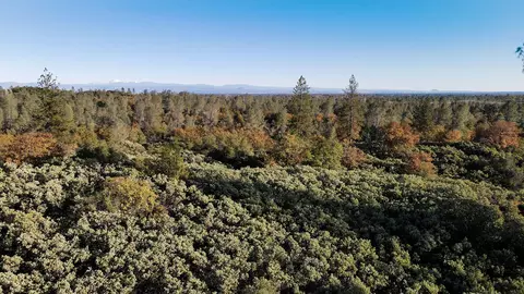 000 Old Diggins Rd, Redding, CA 96003 photo 7