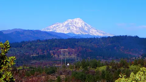 41 Acres Back Woods Dr, Round Mountain, CA 96084