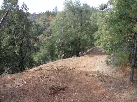 Tawny Way, Lakehead, CA 96051
